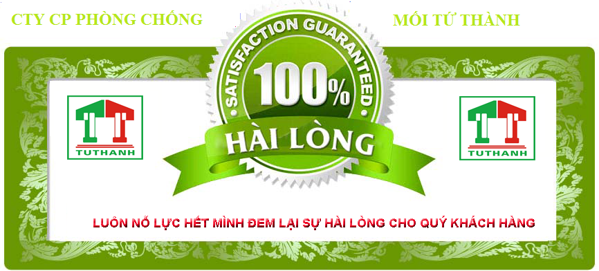 Công ty diệt mối uy tín tại Hà Nội